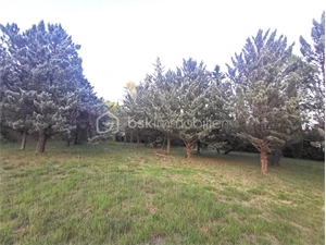 terrain à la vente -   34980  SAINT GELY DU FESC, surface 620 m2 vente terrain - UBI417644004